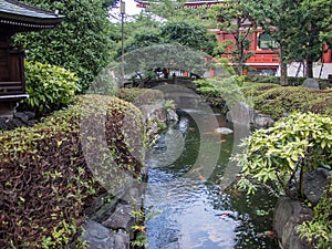 Sensoji æµ…è‰å¯º Temple, Tokyo, Japan, Garden